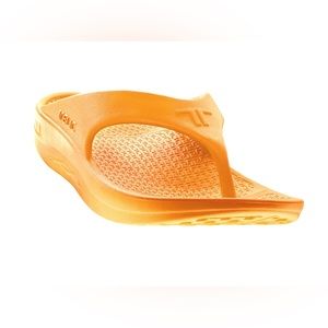 Telic Recovery Flip Flop